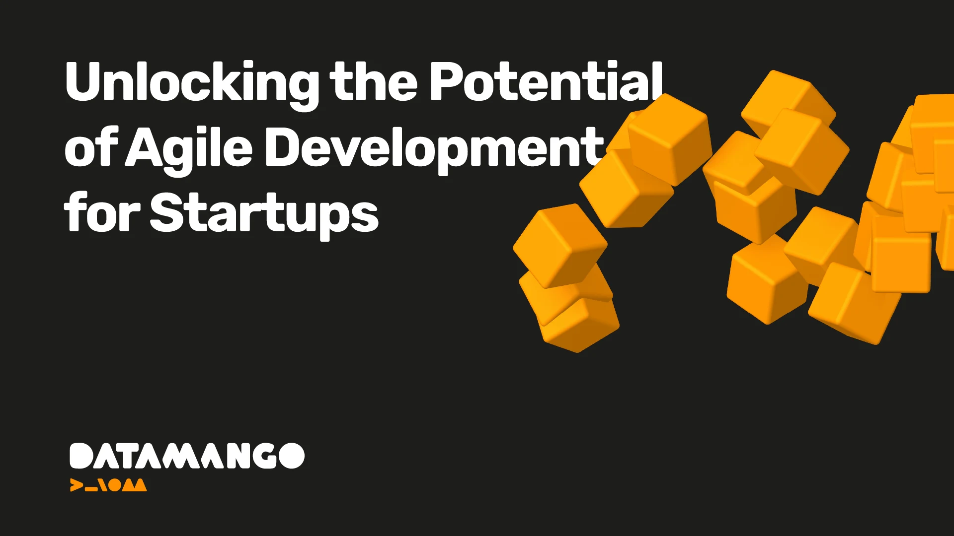 datamango-unlocking-the-potential-of-agile-development-for-startups